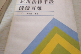 肥城遇到恶意拖欠？专业追讨公司帮您解决烦恼